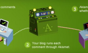 Cách comment không vào SPAM của WordPress
