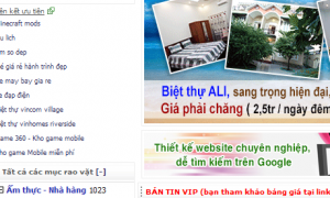Làm một website rao vặt – họ được gì ?