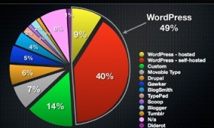 Bạn có biết 49% blogger nổi tiếng dùng WordPress