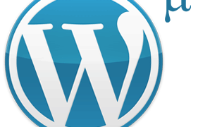 WordPress Multisite khá thông minh, nhưng tôi vướng các plugin cho network