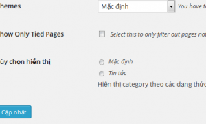 Thêm meta data cho Category và Tag trong WordPress