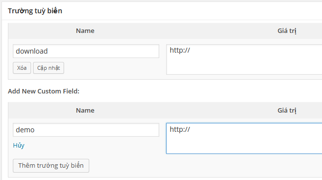 Thêm hai trường tùy biến vào trong WordPress